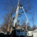 county-tree-service-chicago-illinois-tree-removal-1