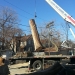 county-tree-service-chicago-illinois-tree-removal-11
