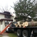 tree-removal-company-chicago-3