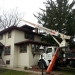 tree-removal-company-chicago-4