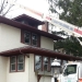 tree-removal-company-chicago-5