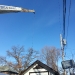 tree-service-chicago-il-7