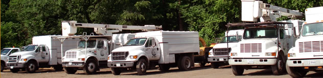 tree-service-company-fleet.jpg tree-service-company-fleet.jpg
