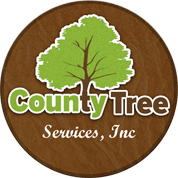 Chicago Tree Service: Tree Removal Services Chicago Tree Trimming Service Chicago Tree Cutting Chicago Stump Removal Chicago Tree Service Chicago